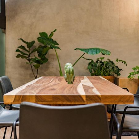 Escandon Suites By Escajal Rooms Meksyk Zewnętrze zdjęcie